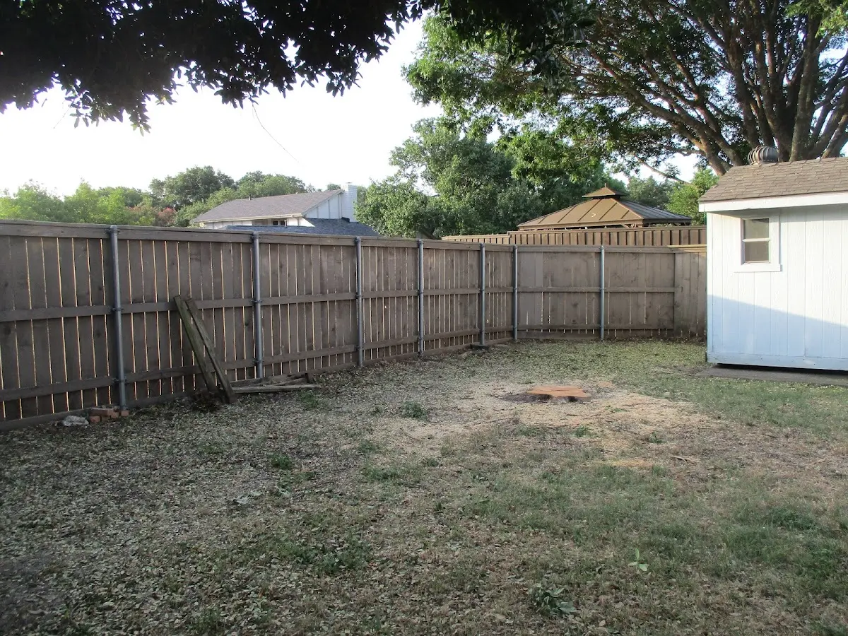 Cleared yard after professional tree removal in Granite Springs