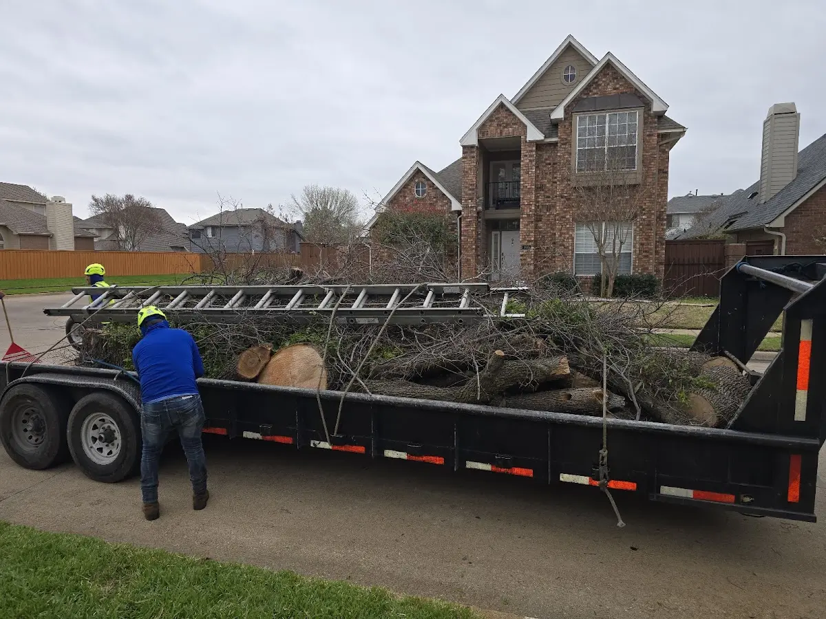 Expert Crown Reduction with proper safety equipment in Granite Springs